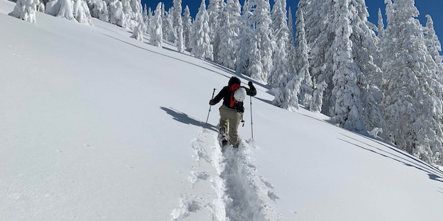 WOMEN’S MORNING SNOWSHOE (Women in the Wilderness) - Jan 2025