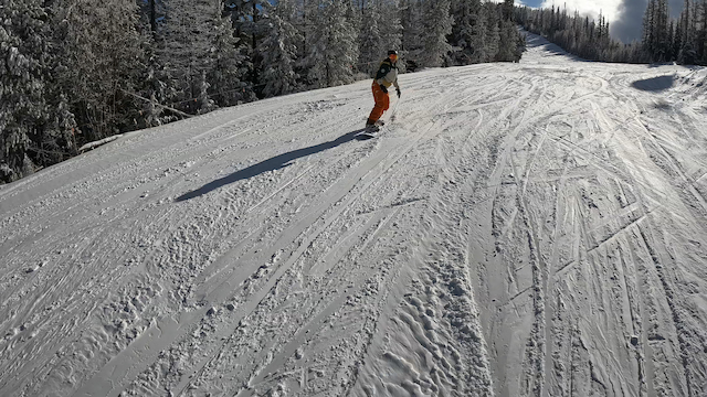 WOMEN’S SKI BUS (Women in the Wilderness) 2025